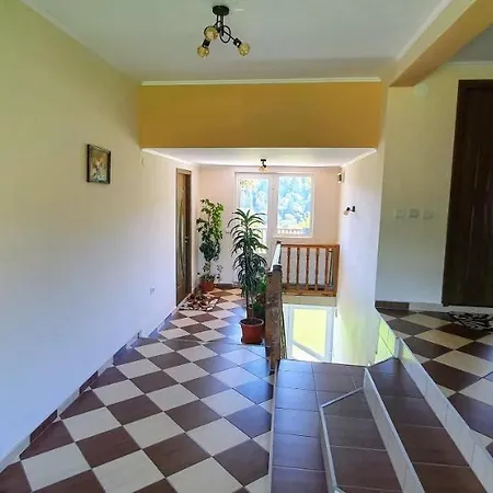 Casă la țară Casa Elena