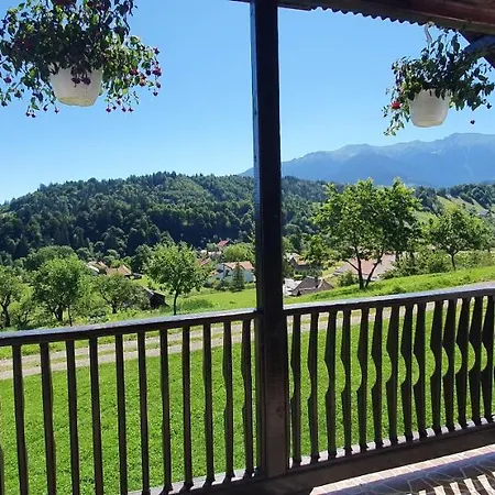 Casă la țară Casa Elena Bran (Brasov)