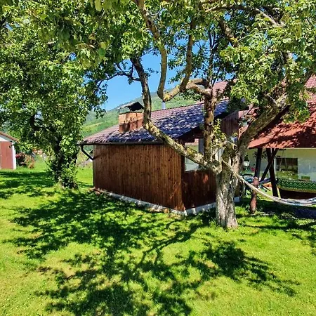 Casă la țară Casa Elena *