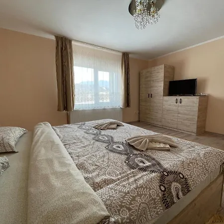 Casă la țară Casa Elena *