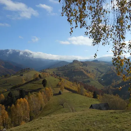 Casă la țară Casa Elena *