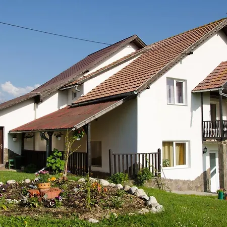 Casă la țară Casa Elena *
